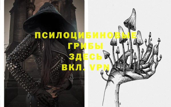 мдпв Зерноград