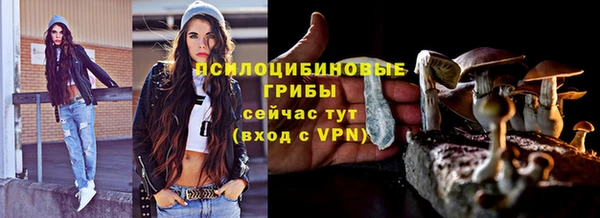 ECSTASY Зеленокумск