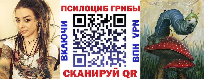 Псилоцибиновые грибы GOLDEN TEACHER  Купить где  Кизилюрт 