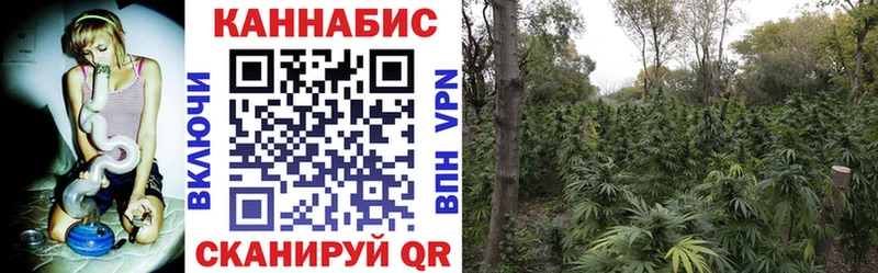 Купить закладки  Кизилюрт  Канабис Ganja 